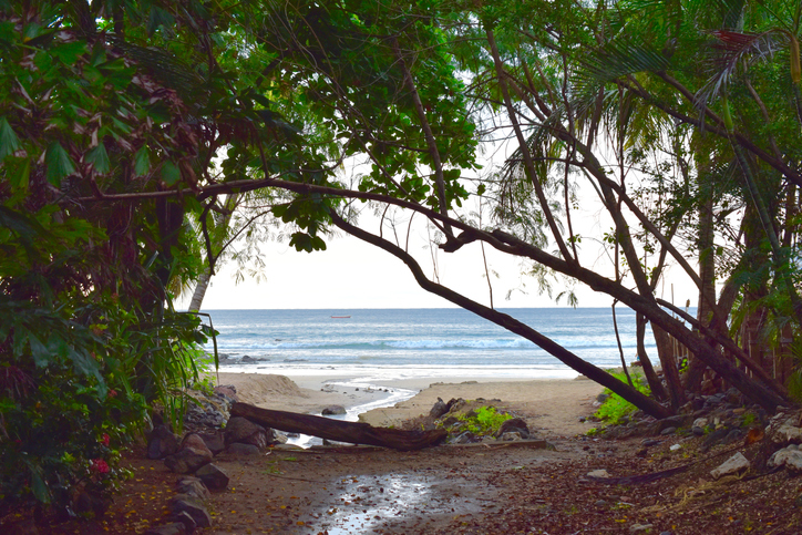 Surfcamp et Yoga à Playa Avellanas, Costa Rica