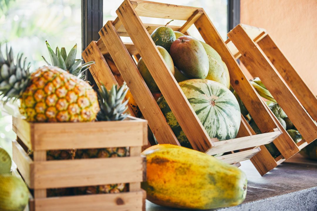 Surfcamp et Yoga à Playa Avellanas, Costa Rica