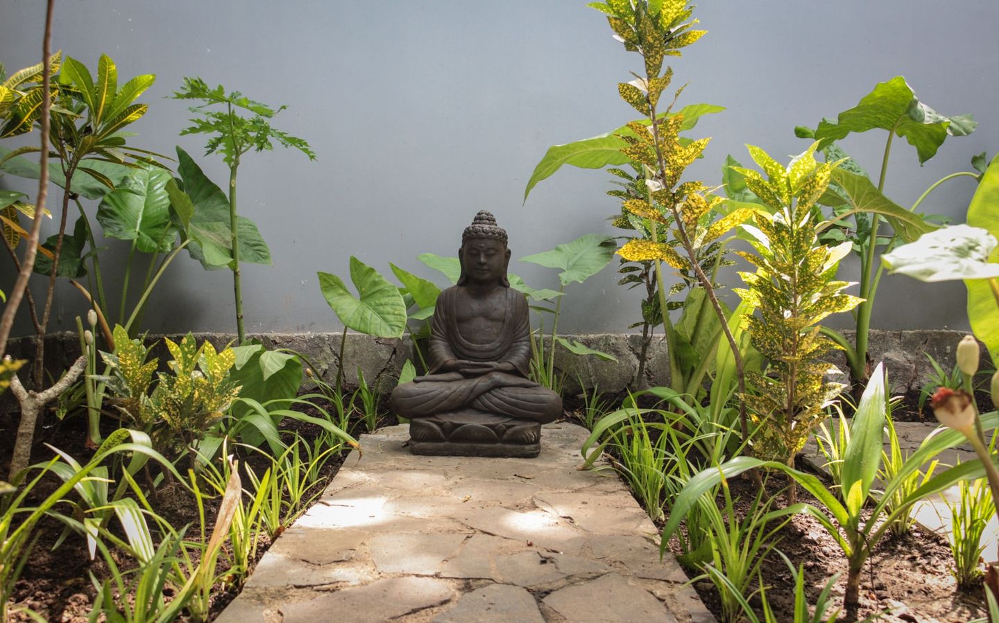 2 bedroom villa - Experience surf & Yoga en famille dans les îles Mentawai, Sumatra