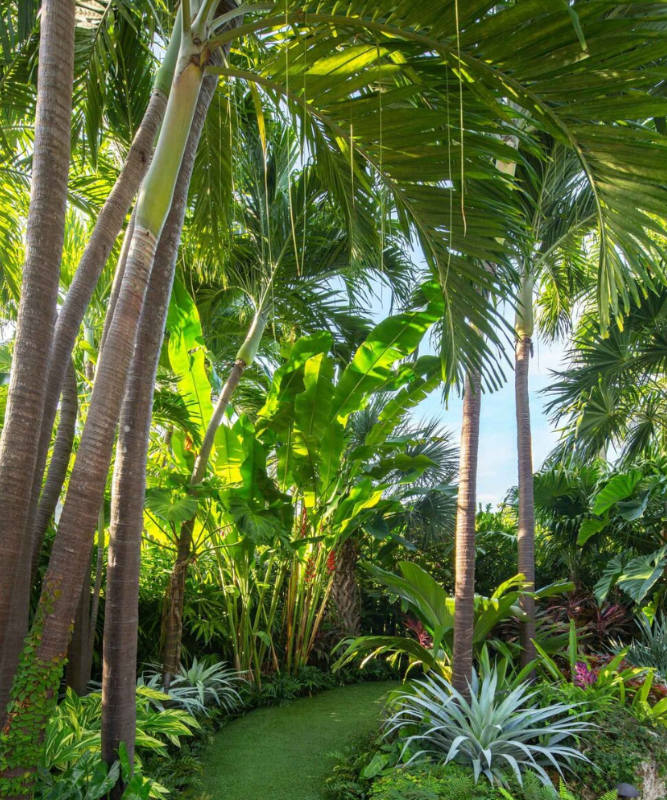 Villa 2 personnes - Séjour surf et bien-être d'exception dans les îles Mentawai, Sumatra Villa 2 personnes - Séjour surf et bien-être d'exception dans les îles Mentawai, Sumatra