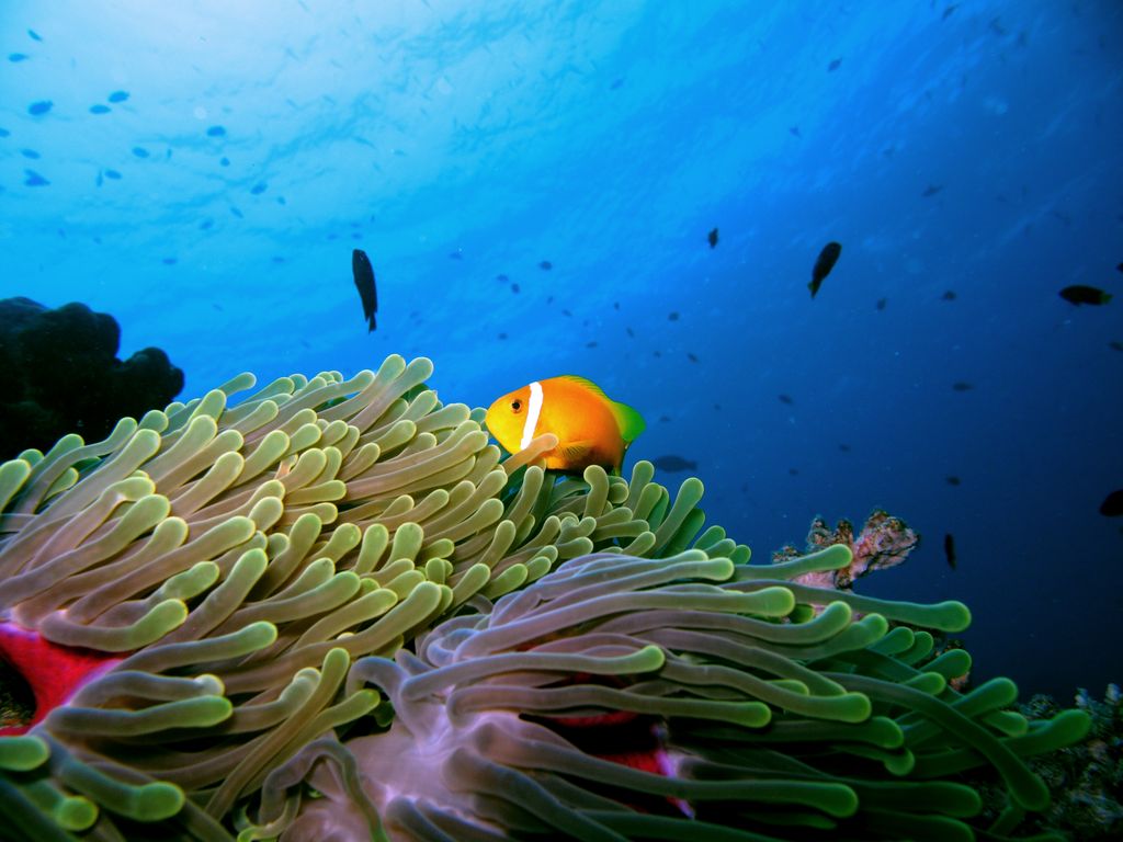 Séjour Kite, Windsurf et Wingfoil sur l'île de Lemnos, Grèce