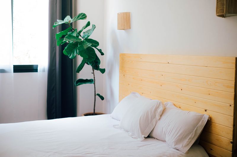 Chambre double vue jardin ou vue mer - Surf camp Maroc - Boutique Hôtel authentique Chambre double vue jardin ou vue mer - Surf camp Maroc - Boutique Hôtel authentique