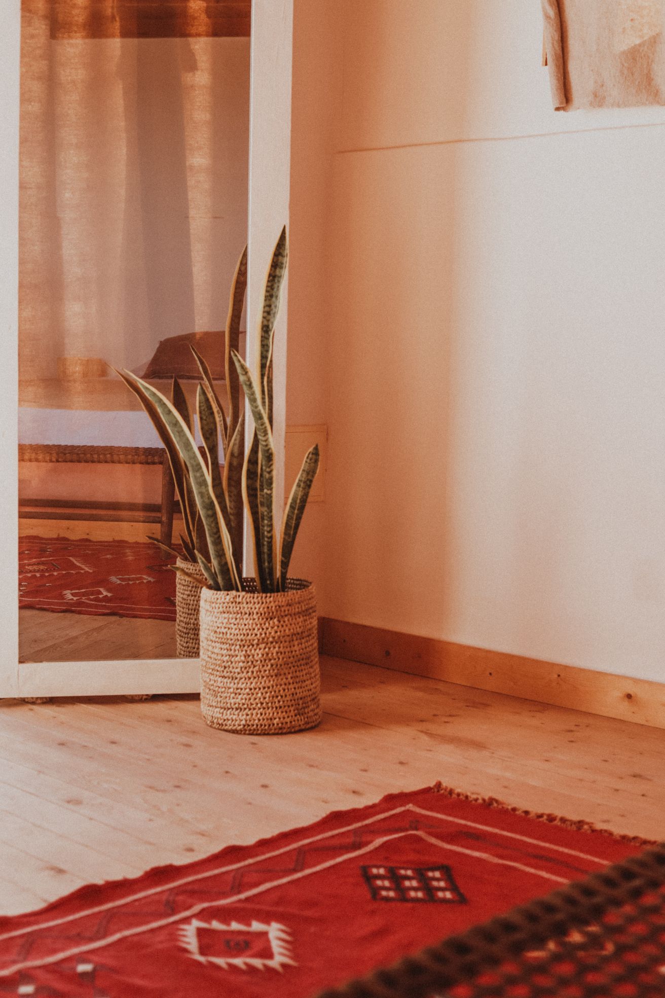 Chambre privée - Surcamp et Yoga à Imsouane Chambre privée - Surcamp et Yoga à Imsouane