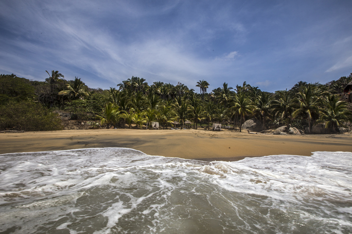 San Pancho San Pancho