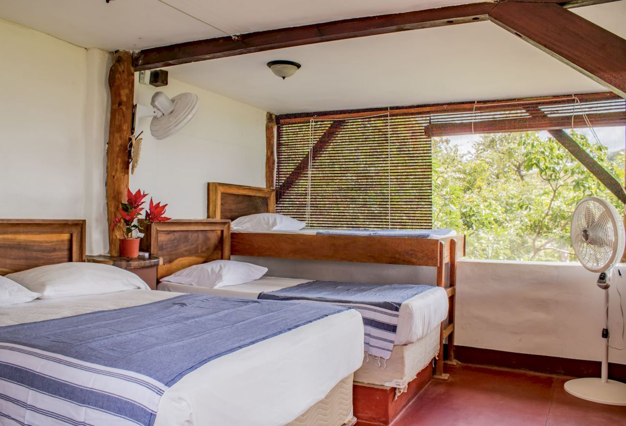 Chambre privée vue océan - 4 pers. - Retraite surf, yoga et bien-être Chambre privée vue océan - 4 pers. - Retraite surf, yoga et bien-être