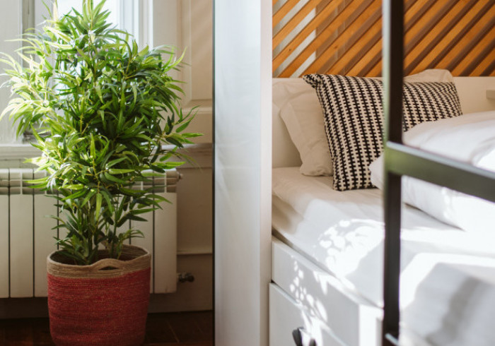 Chambre partagée mixte ou entre filles - Retraite surf et yoga à Cascais - 3 / 7 nuits