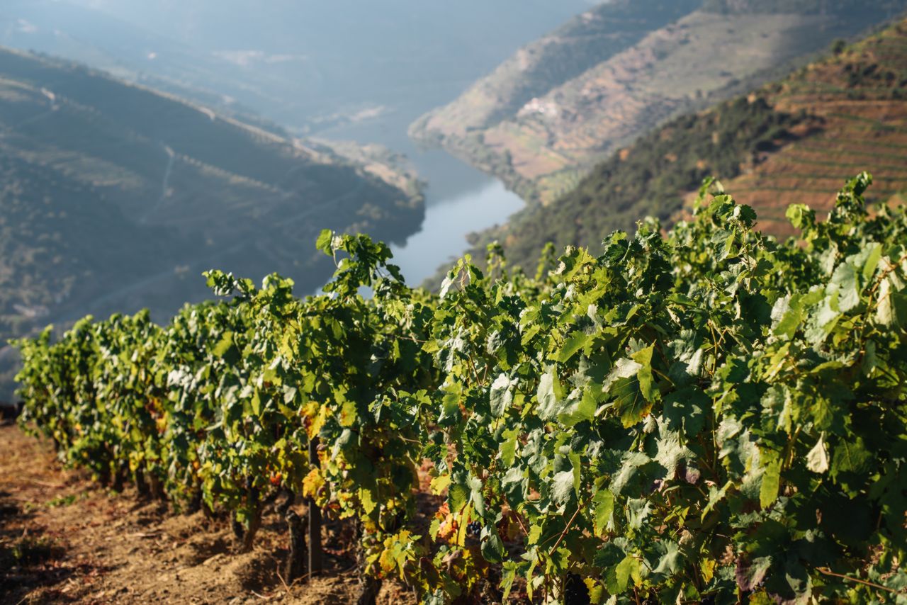 Séjour glisse et bien-être sur la côte Nord du Portugal Séjour glisse et bien-être sur la côte Nord du Portugal