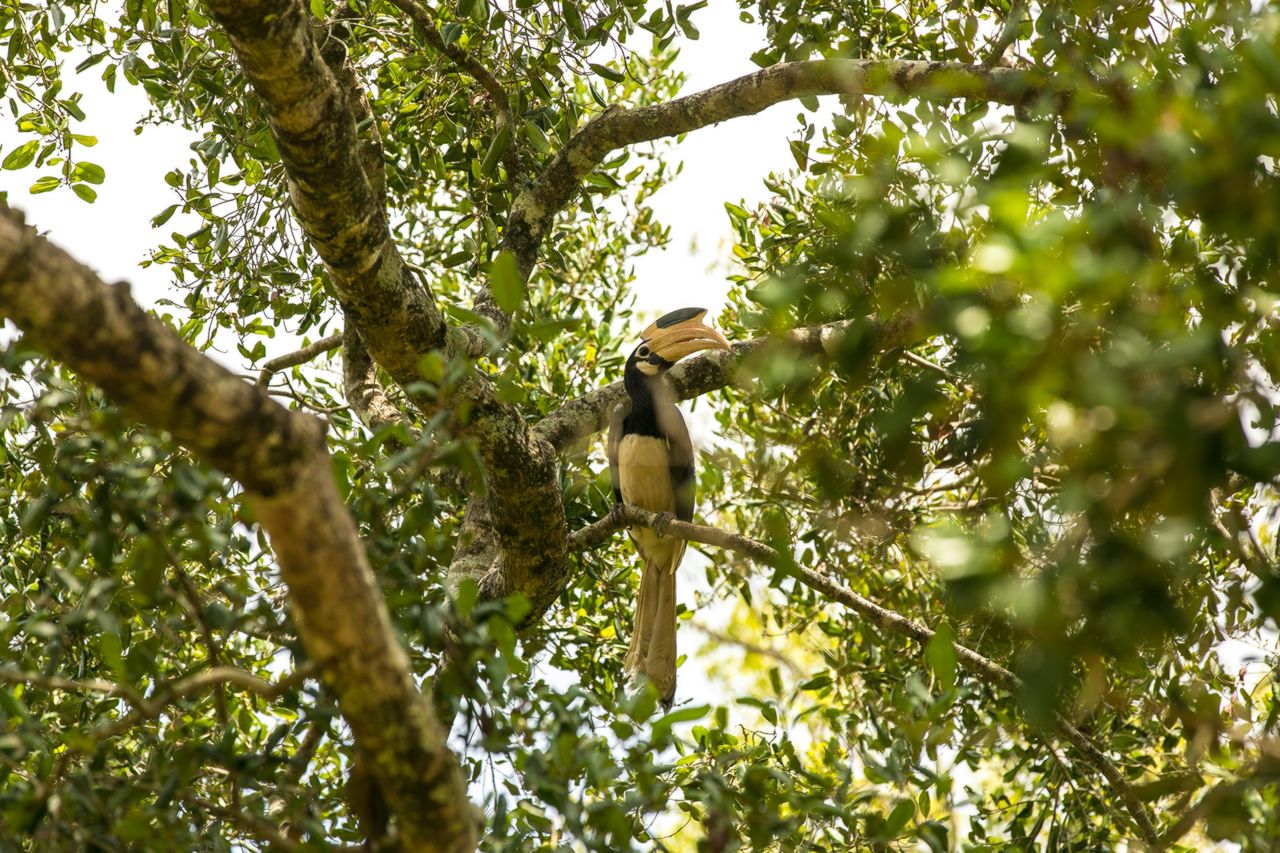 Dreamsea Sintra, camp surf et Yoga au Portugal